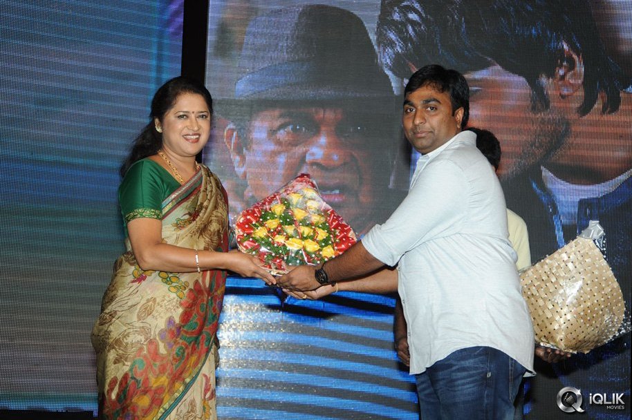 Joru-Movie-Audio-Launch